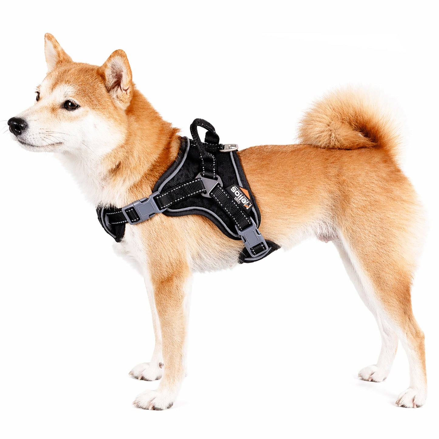 Dog Helios ® 'Scorpion' Sporty High-Performance Free-Range Dog Harness