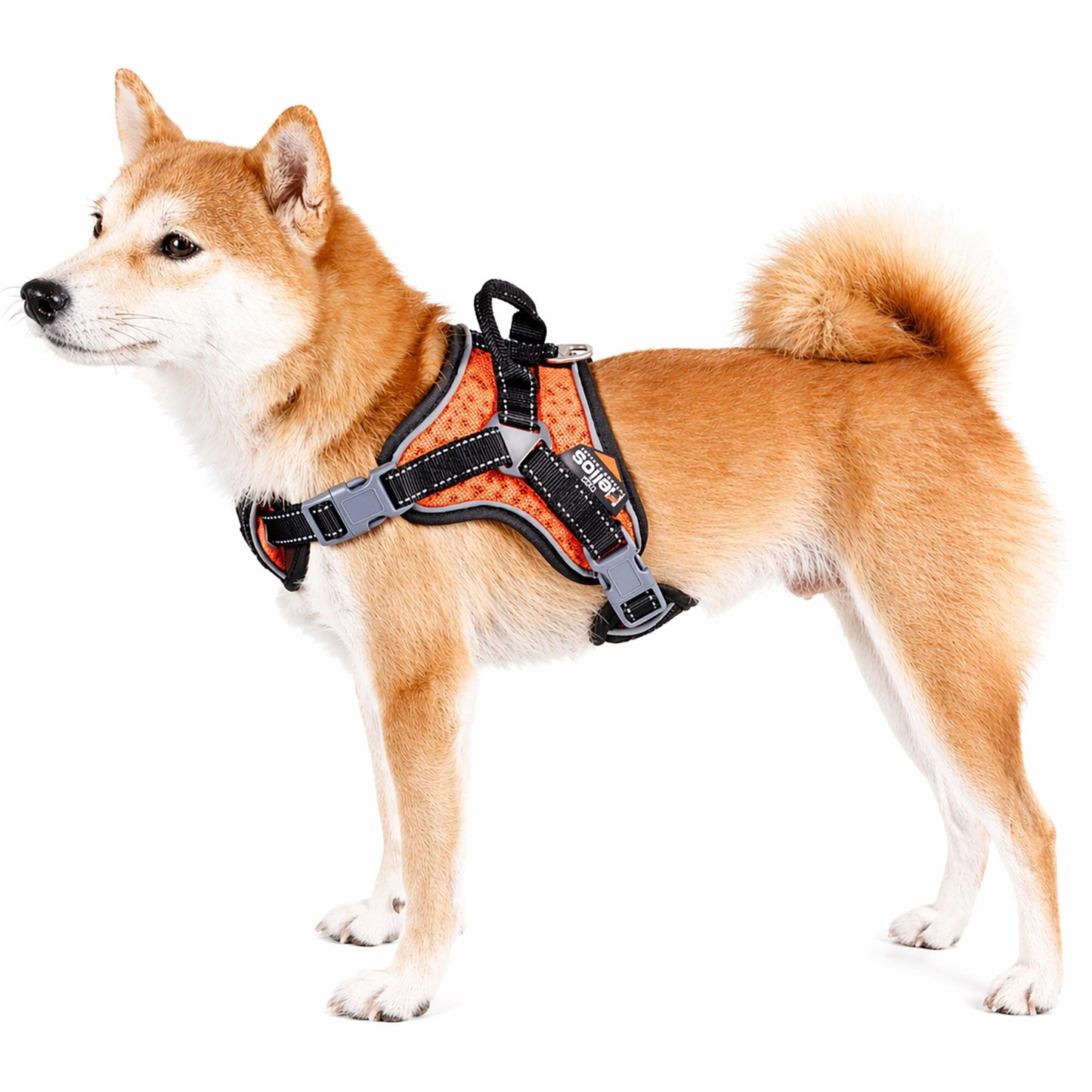 Dog Helios ® 'Scorpion' Sporty High-Performance Free-Range Dog Harness