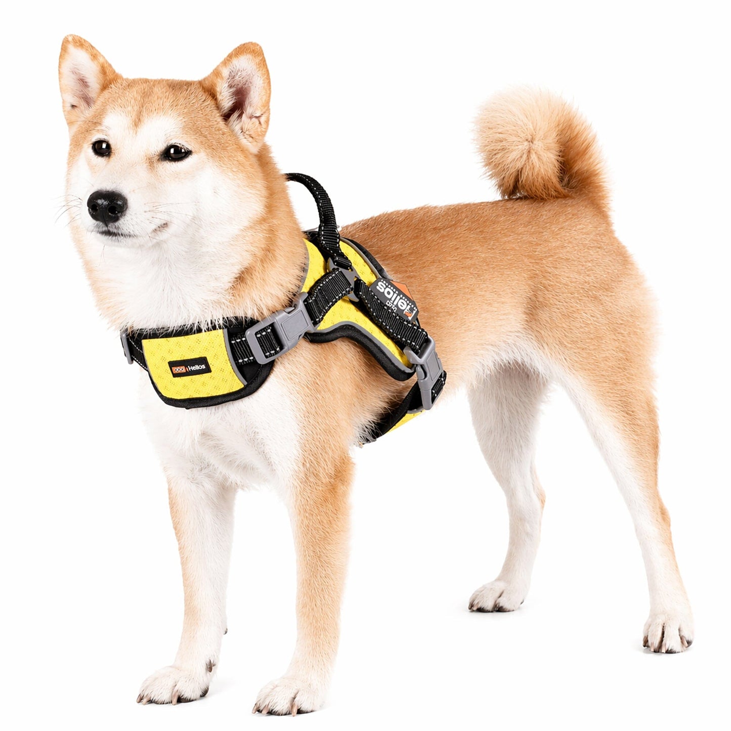 Dog Helios ® 'Scorpion' Sporty High-Performance Free-Range Dog Harness